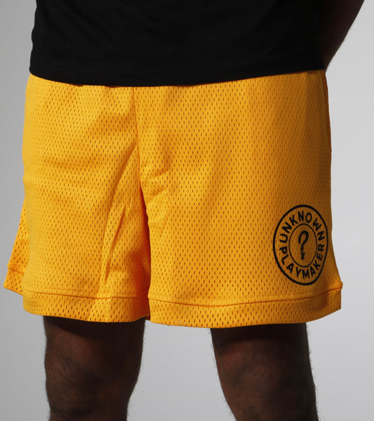 Heavyweight Mesh Shorts