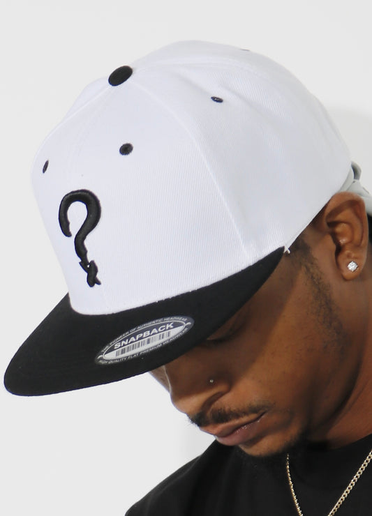 Series 1 Snapback