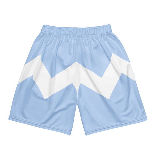 Unisex Mesh Shorts