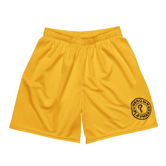 Heavyweight Mesh Shorts